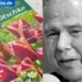 Gärtner Pötschke Todesfal